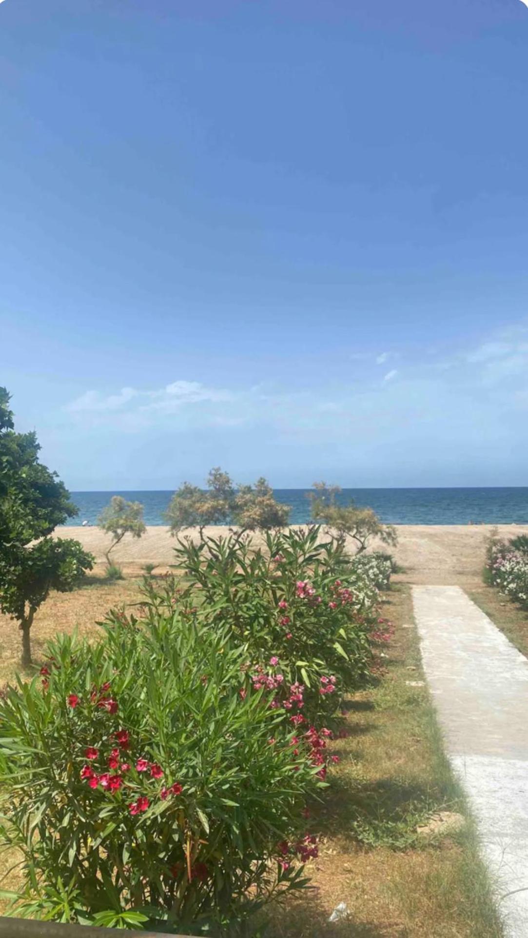 Rosdani Apartment Palermo Dış mekan fotoğraf